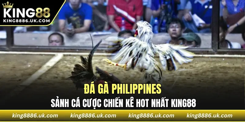 Đá Gà Philippines
