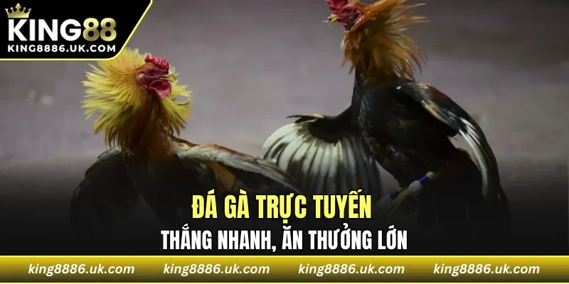 Đá Gà Trực Tuyến
