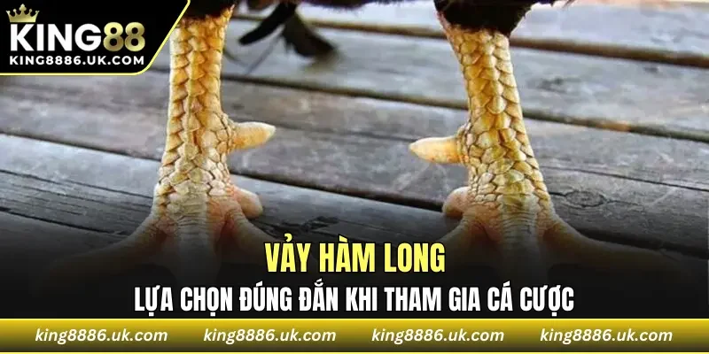Vảy Hàm Long